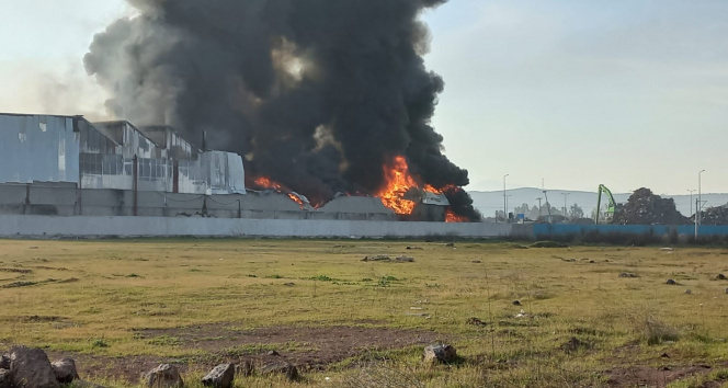 Kastamonu’da bir köy alevlere teslim oldu: 7 ev, 7 ahır, 12 hayvan, 1 traktör ve 1 cami yandı