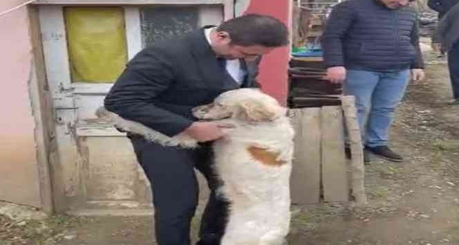 Milletvekilinin merhameti ve kurtardığı köpeğin sadakati duygulandırdı