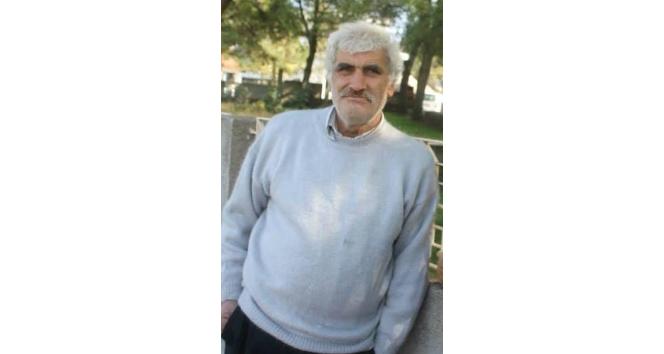 Ağaç keserken elektrik akımına kapılarak öldü
