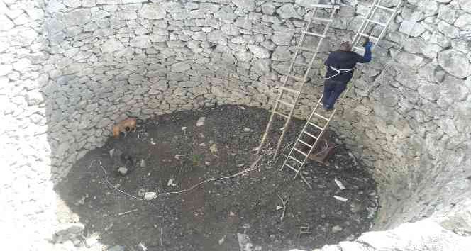 İki gündür kuyuda can çekişti, imdadına itfaiye yetişti