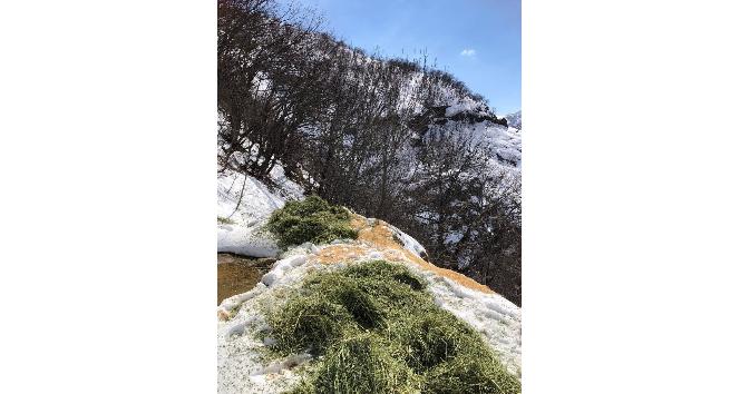 Tunceli’de yaban hayvanları için doğaya yem bırakıldı