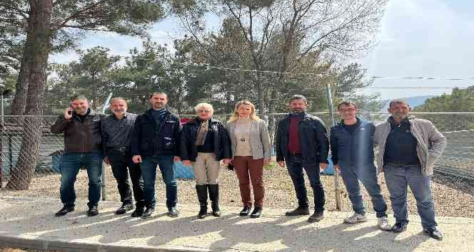 AK Parti grubu, pitbulların birbirini parçaladığı barınağı inceledi