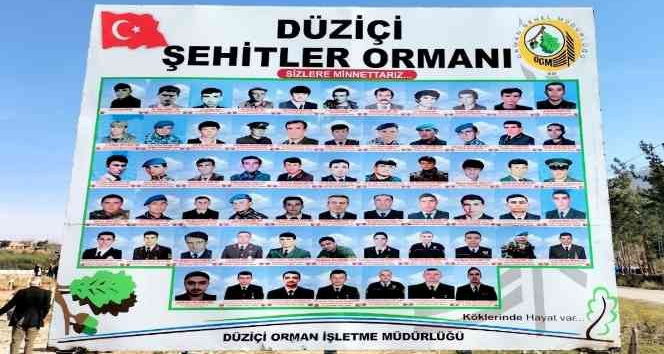 Osmaniye’de "Şehitler Ormanı" oluşturuldu