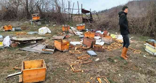 Baba yadigarı idi, gördükleri manzara ile şoke oldular