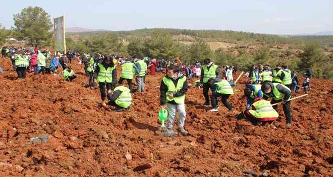 Uşak’ta yüzlerce öğrenci 3 bin 250 sedir fidanını toprakla buluştu