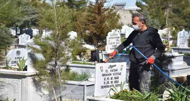 Siirt’te mezarlıklarda ilaçlama çalışması