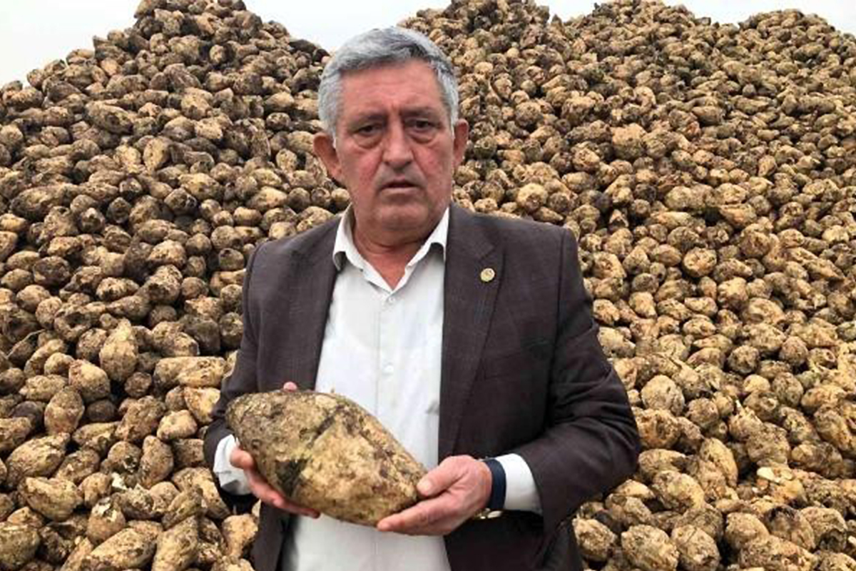 Şekerde fiyat oyununu bozacak gelişme