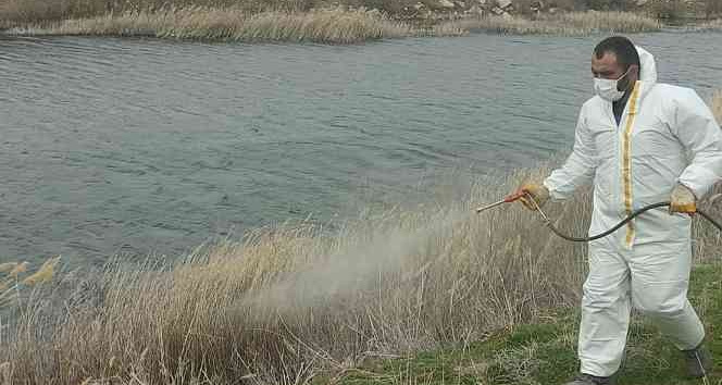 Delice’de yaz öncesi ilaçlama