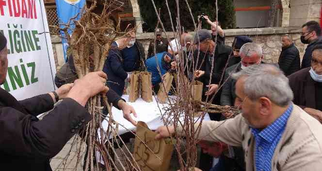 Fidan alabilmek için birbiriyle yarıştılar