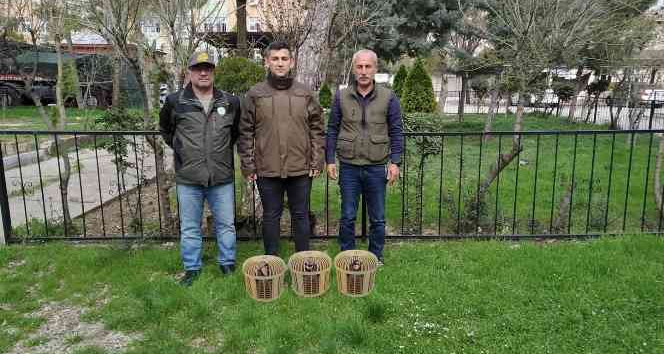 Siirt’te kaçak avcılara para cezası