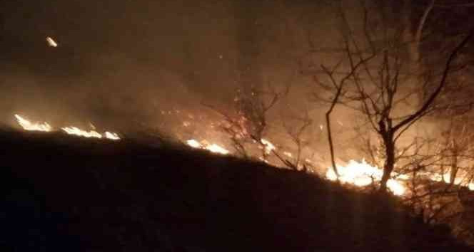 Osmaniye’de çıkan orman yangını kontrol altına alındı