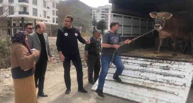 Halk gününde inek istedi, vali kapısına gönderdi