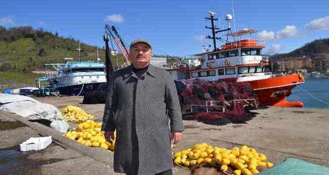 Balıkçılar, av sezonunun bitmesine sayılı günler kala teknelerini limana çekti