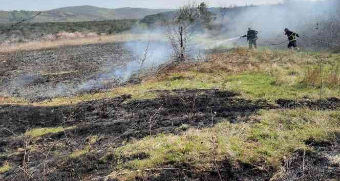 Altınova’da arazi yangını kısa sürede söndürüldü