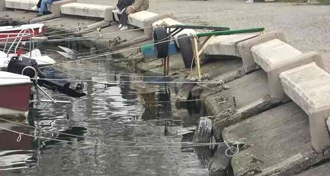 Çöken barınağa Yalova Belediyesi’nin parası yetmedi, DLH’nın yapması bekleniyor