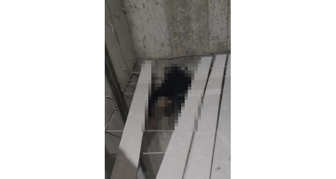 Batman’da asansör boşluğuna düşen işçi hayatını kaybetti