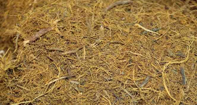 Ramazan ayında susuzluğun çaresi meyan kökü şerbeti