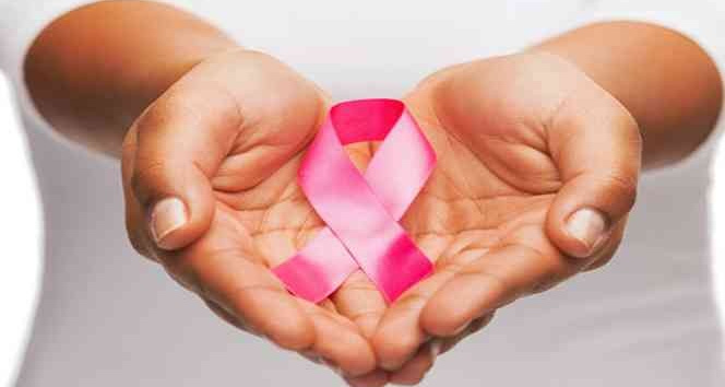 “Pestisitler meme kanserine zemin hazırlıyor”