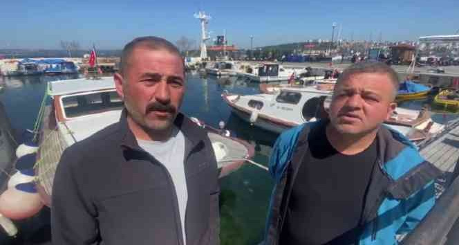 Çanakkale Boğazı’nda yaklaşık 300 kilogram ağırlığında köpek balığı yakaladılar