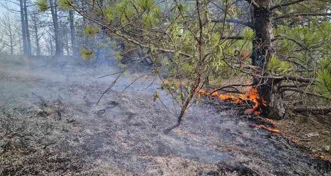 Banaz’da çıkan orman yangınında müdahale devam ediyor
