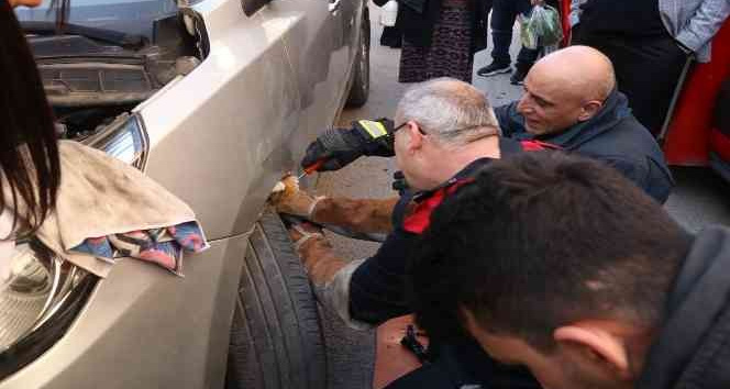 Yalova’da otomobil motoruna sıkışan kedi kurtarıldı