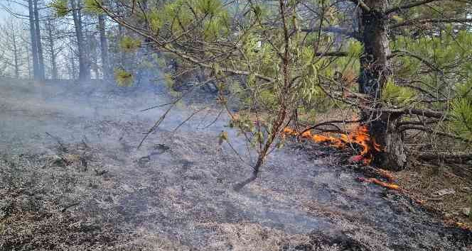 Banaz’da çıkan orman yangınında 4 hektar alan zarar gördü