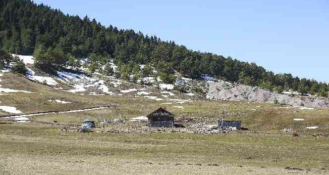 Başkent’in Karadeniz’i kıskandıran yaylaları havadan görüntülendi