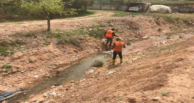 Cizre’de ilaçlama çalışmaları başlatıldı