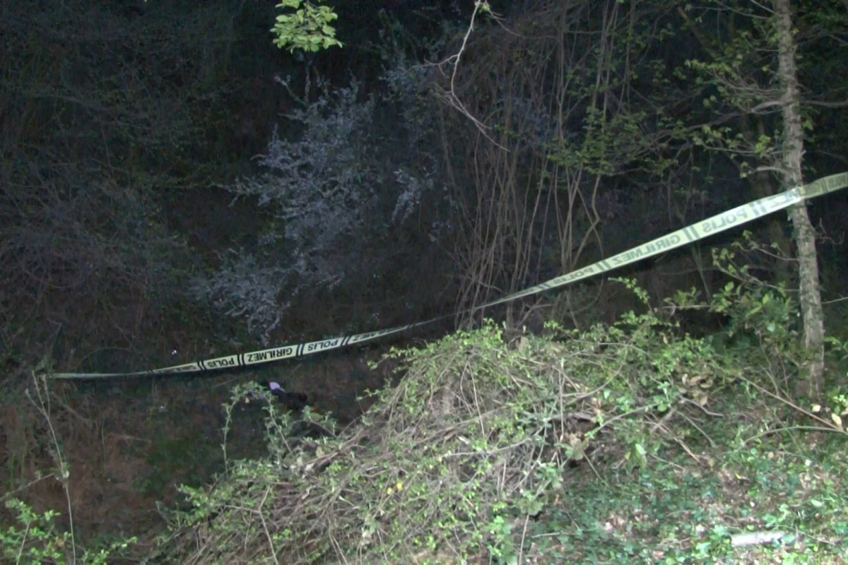 Arnavutköy'de ormanlık alanda 38 günlük ceset bulundu