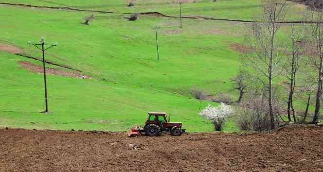 Ordu’da atıl araziler üretime kazandırılıyor