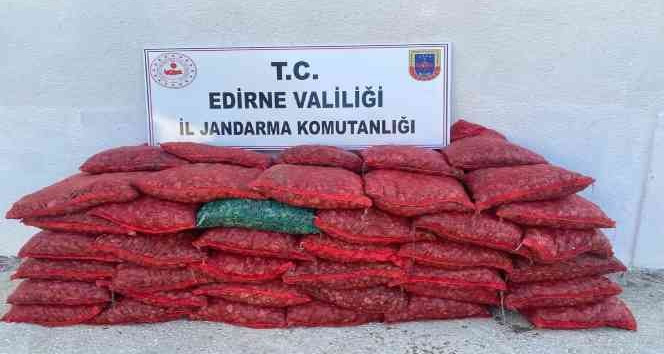 Jandarmadan kaçak midye operasyonu