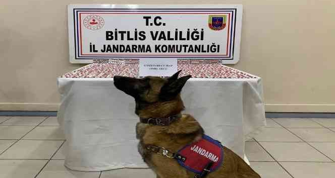 Bitlis’te 2 bin 800 adet uyuşturucu hap ele geçirildi