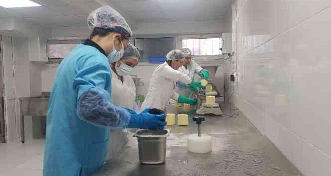 Okulda tereyağı üretmeye başladılar, siparişlere yetişemiyorlar