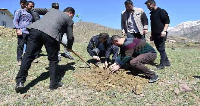 Sason’da ipek böcekçiliği geliştirme projesi dahilinde dut fidanı dikildi
