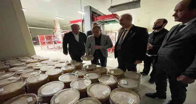 Ordu’dan 3 Avrupa ülkesine bal ihracatı