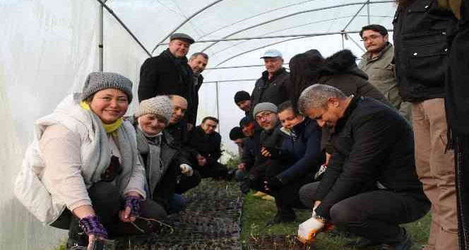 Tıbbi aromatik bitki yetiştiriciliğine yoğun ilgi