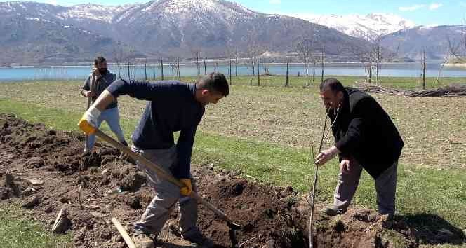 Tatvan’da meyve fidanları toprakla buluştu