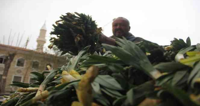 Lezzet ve şifa deposu yabani pırasa tezgâhlarda yerini aldı