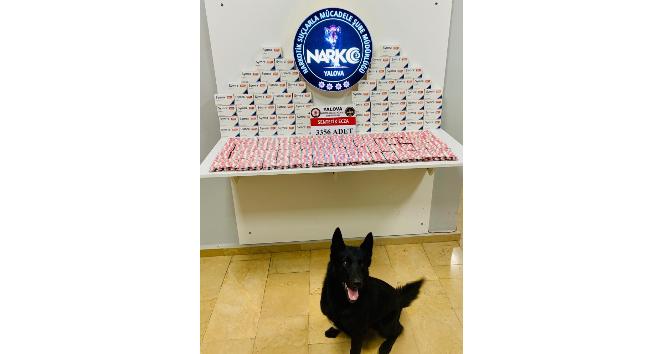 Yalova’daki uyuşturucu operasyonlarında 1 kişi tutuklandı