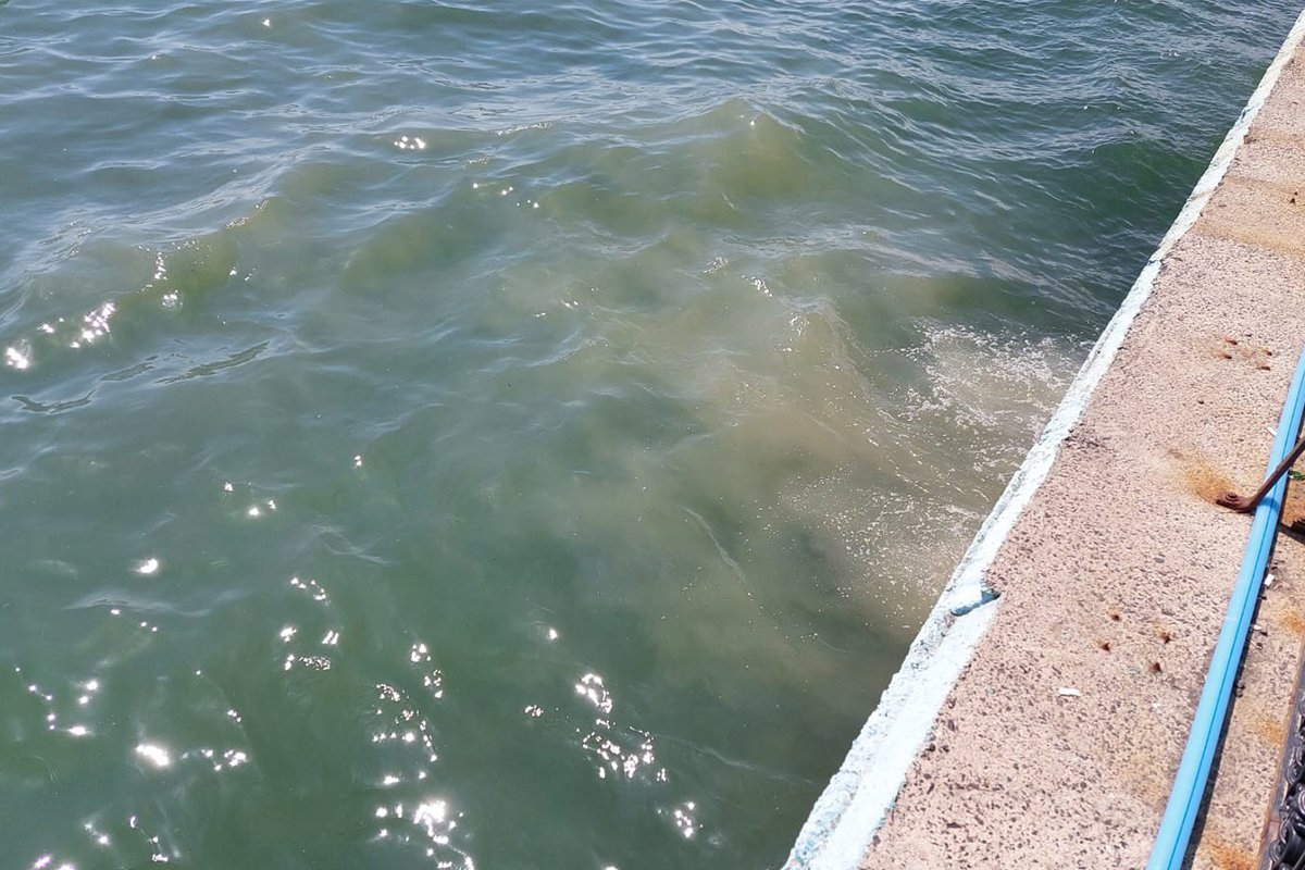 Yağmur suyu hattına kanalizasyon atıklarının karışması sebebiyle denize pislik akıyor