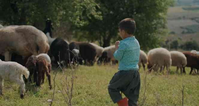 Mersin’de ’100 bin gülücük’ projesi