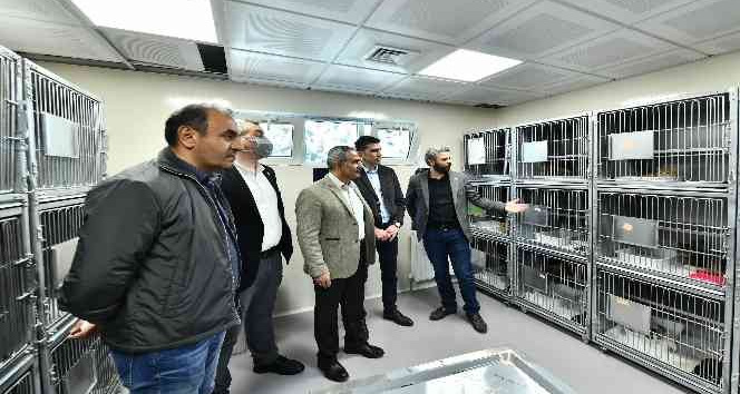 Sincan Kedi Tedavi Ünitesi ve Rehabilitasyon Merkezi görücüye çıktı