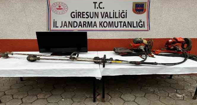 Giresun’da hırsızlık vakaları