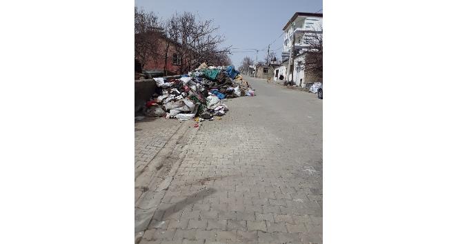 60 yaşındaki kadının evinden 2 kamyon çöp çıkarıldı