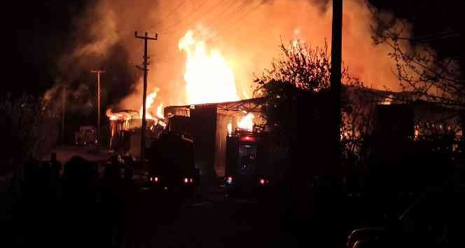 Yalova’da kereste fabrikasında korkutan yangın