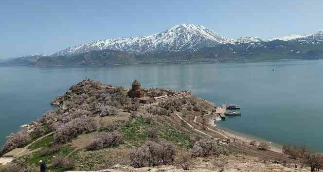 Akdamar Adası’nda ilkbahar güzelliği