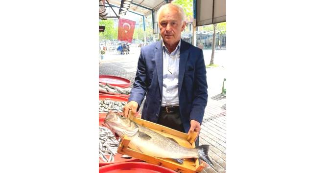 Bandırma’da 4 kiloluk levrek 500 liraya satıldı
