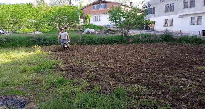 Tarlalarda çapalama işlemi başladı
