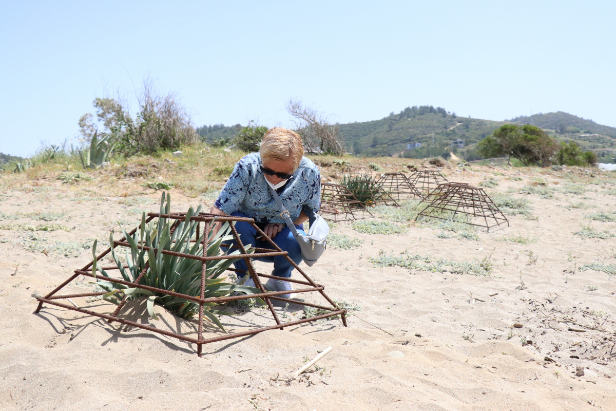 Koparmanın cezası 120 bin TL olan kum zambakları koparılarak yakıldı
