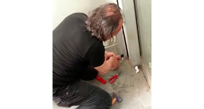 Pencere pervazında mahsur kalan serçe kurtarıldı